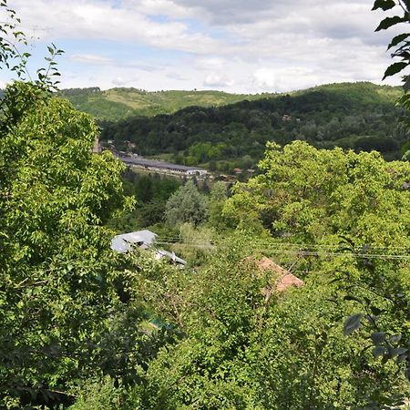 Casuta Cu Trandafiri Otel Slănic Dış mekan fotoğraf