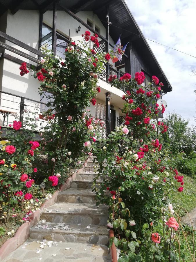 Casuta Cu Trandafiri Otel Slănic Dış mekan fotoğraf