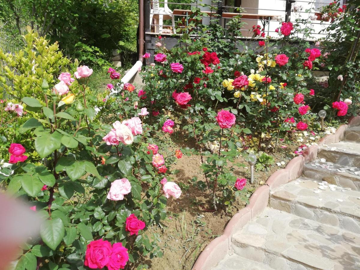 Casuta Cu Trandafiri Otel Slănic Dış mekan fotoğraf