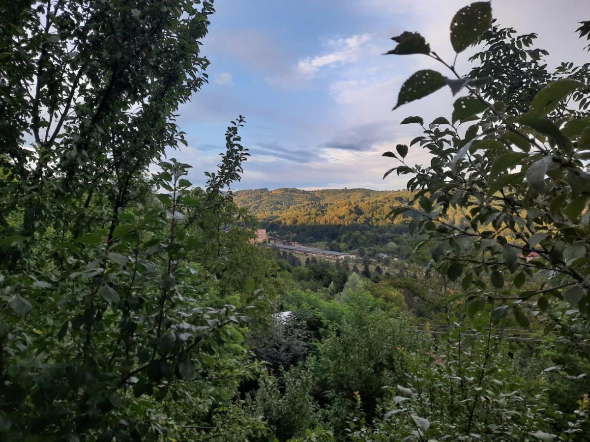 Casuta Cu Trandafiri Otel Slănic Dış mekan fotoğraf