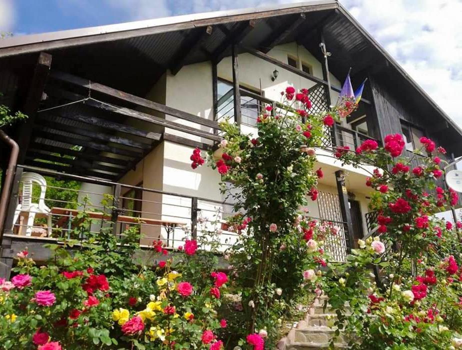 Casuta Cu Trandafiri Otel Slănic Dış mekan fotoğraf