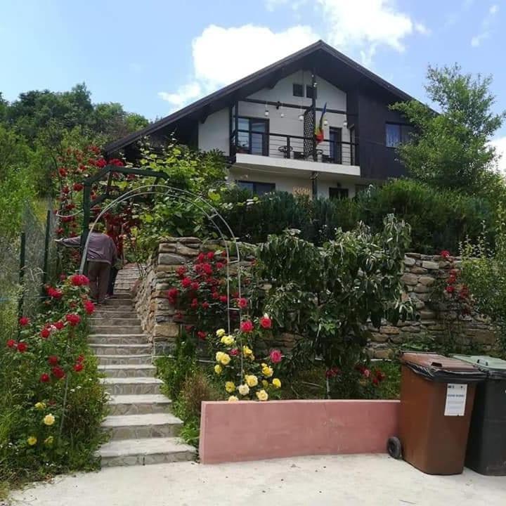 Casuta Cu Trandafiri Otel Slănic Dış mekan fotoğraf