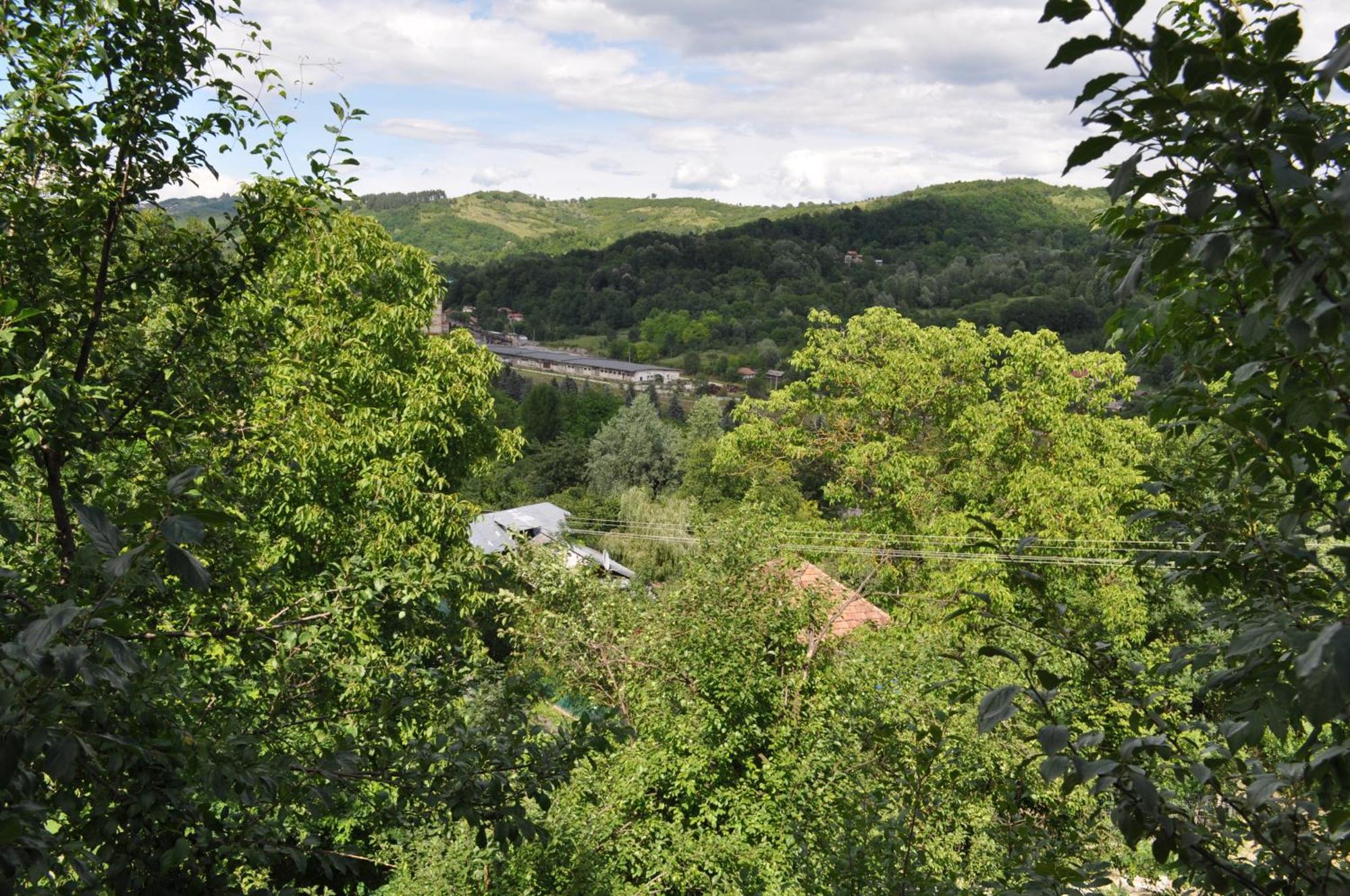 Casuta Cu Trandafiri Otel Slănic Dış mekan fotoğraf